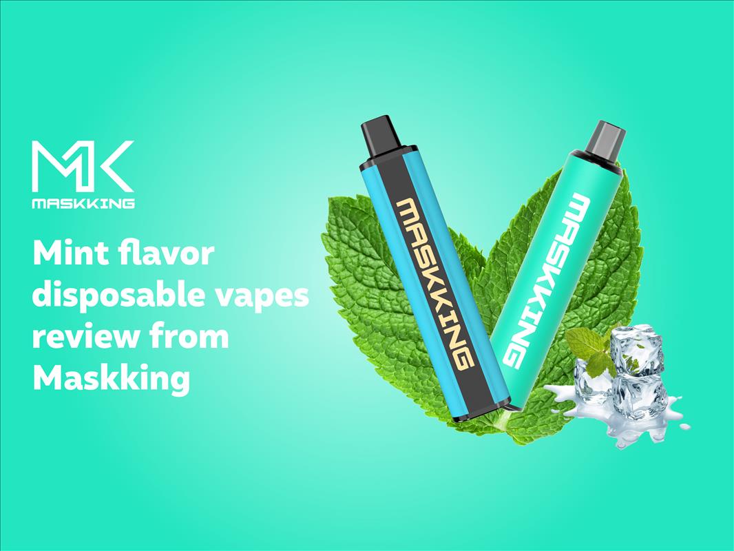 Mint flavor disposable vapes review from Maskking